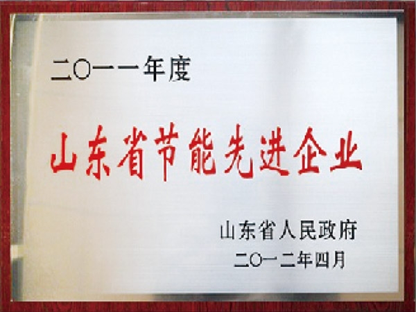 山東省節(jié)能先進企業(yè)